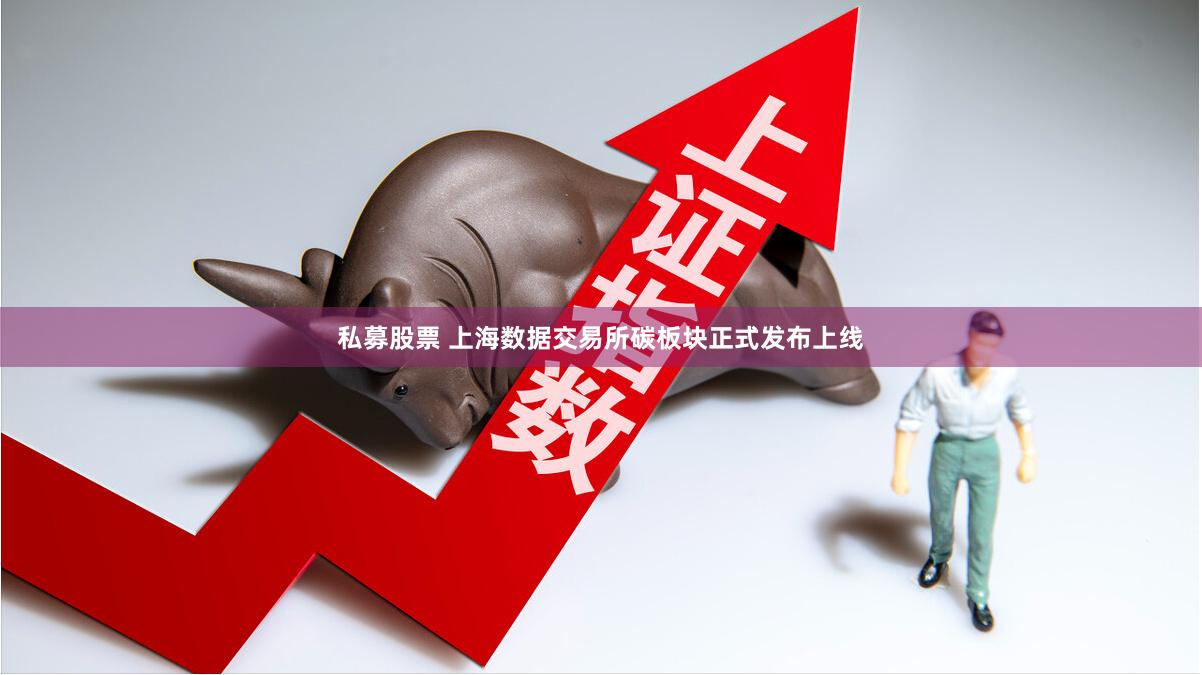 私募股票 上海数据交易所碳板块正式发布上线