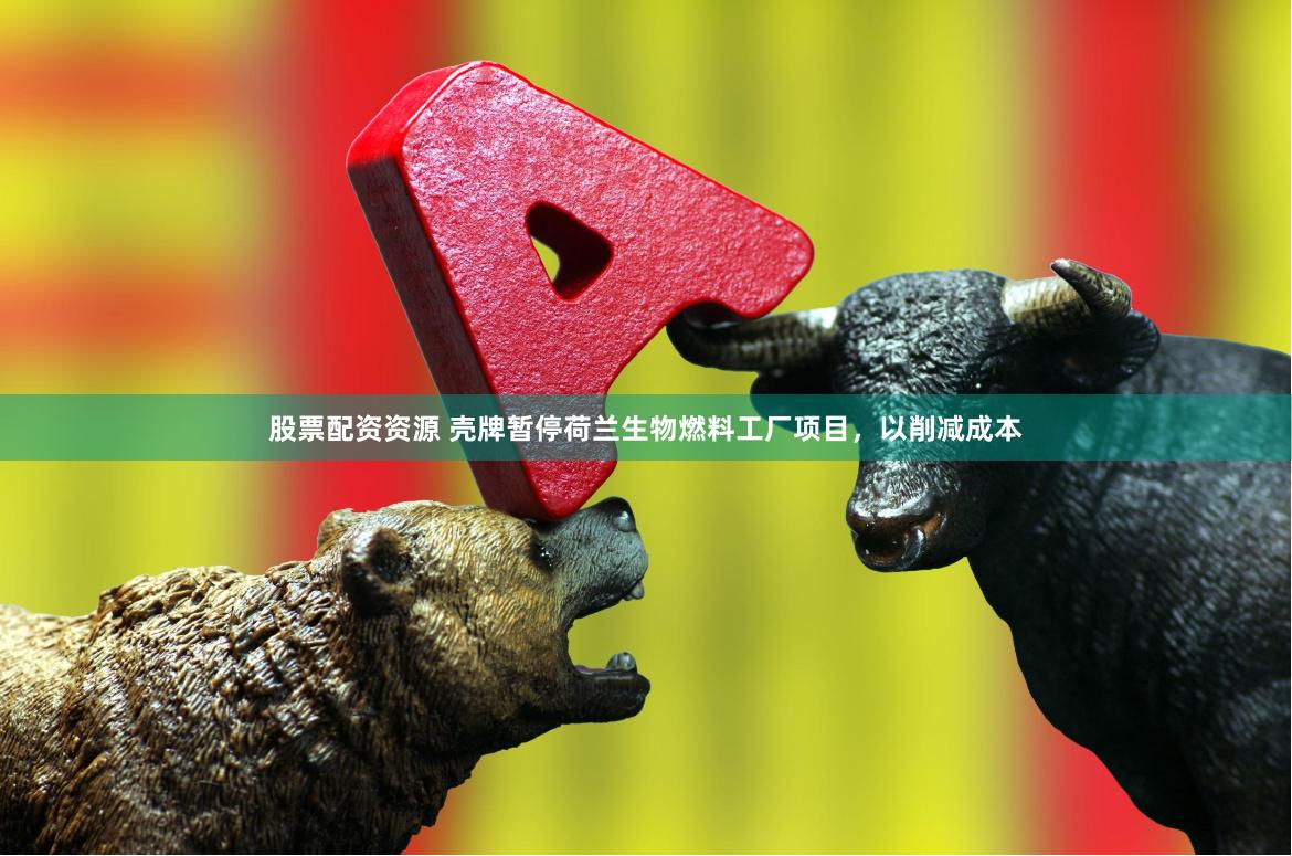 股票配资资源 壳牌暂停荷兰生物燃料工厂项目，以削减成本