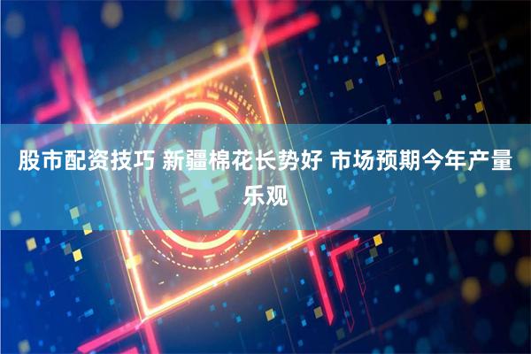 股市配资技巧 新疆棉花长势好 市场预期今年产量乐观