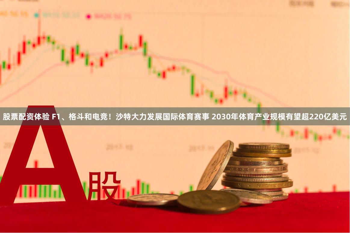 股票配资体验 F1、格斗和电竞！沙特大力发展国际体育赛事 2030年体育产业规模有望超220亿美元