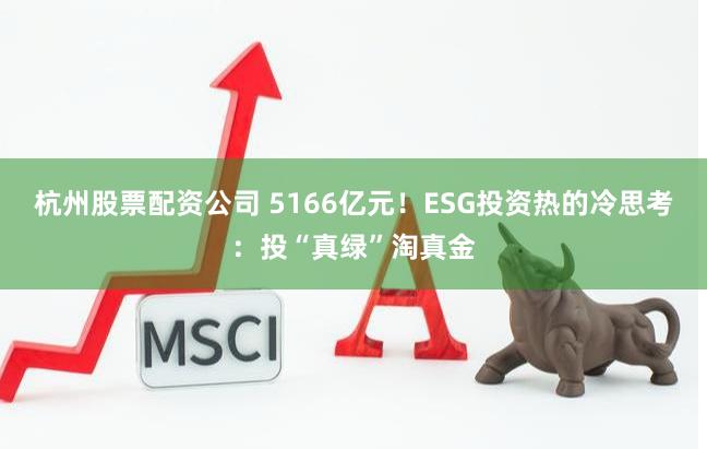 杭州股票配资公司 5166亿元！ESG投资热的冷思考：投“真绿”淘真金