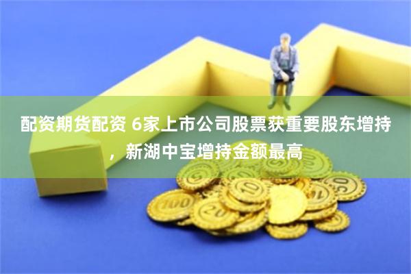 配资期货配资 6家上市公司股票获重要股东增持，新湖中宝增持金额最高