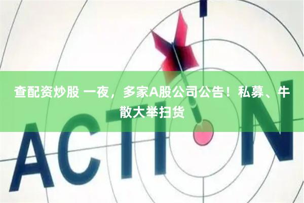 查配资炒股 一夜，多家A股公司公告！私募、牛散大举扫货