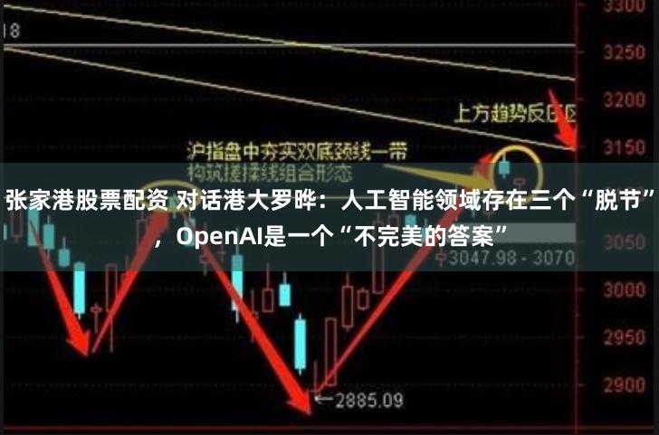 张家港股票配资 对话港大罗晔：人工智能领域存在三个“脱节”，OpenAI是一个“不完美的答案”