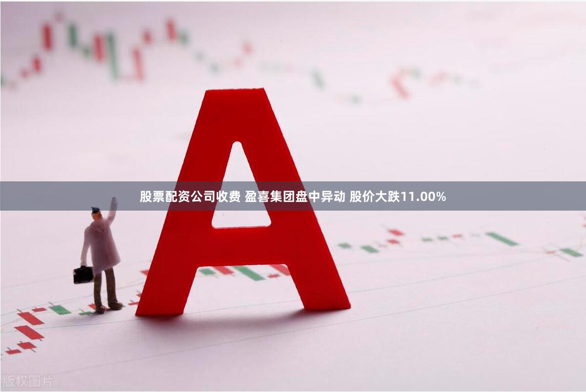 股票配资公司收费 盈喜集团盘中异动 股价大跌11.00%