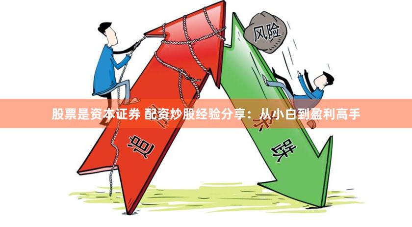 股票是资本证券 配资炒股经验分享：从小白到盈利高手
