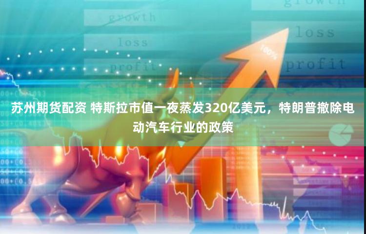 苏州期货配资 特斯拉市值一夜蒸发320亿美元，特朗普撤除电动汽车行业的政策