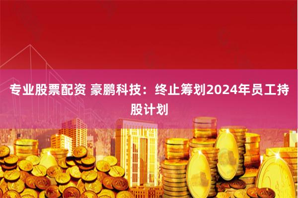 专业股票配资 豪鹏科技：终止筹划2024年员工持股计划